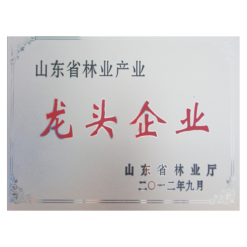 山東省林業(yè)產(chǎn)業(yè)龍頭企業(yè)